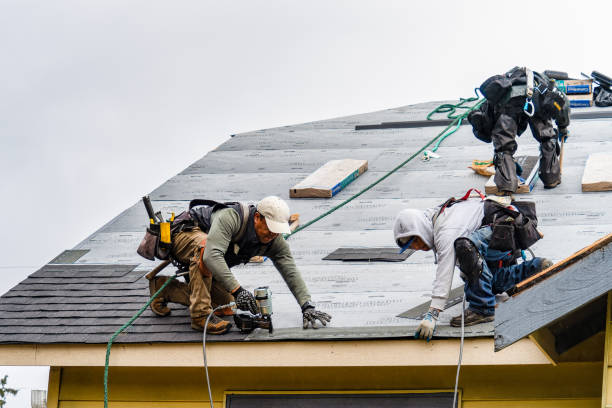 Professional Roof Replacement technician working in Absaraka, ND